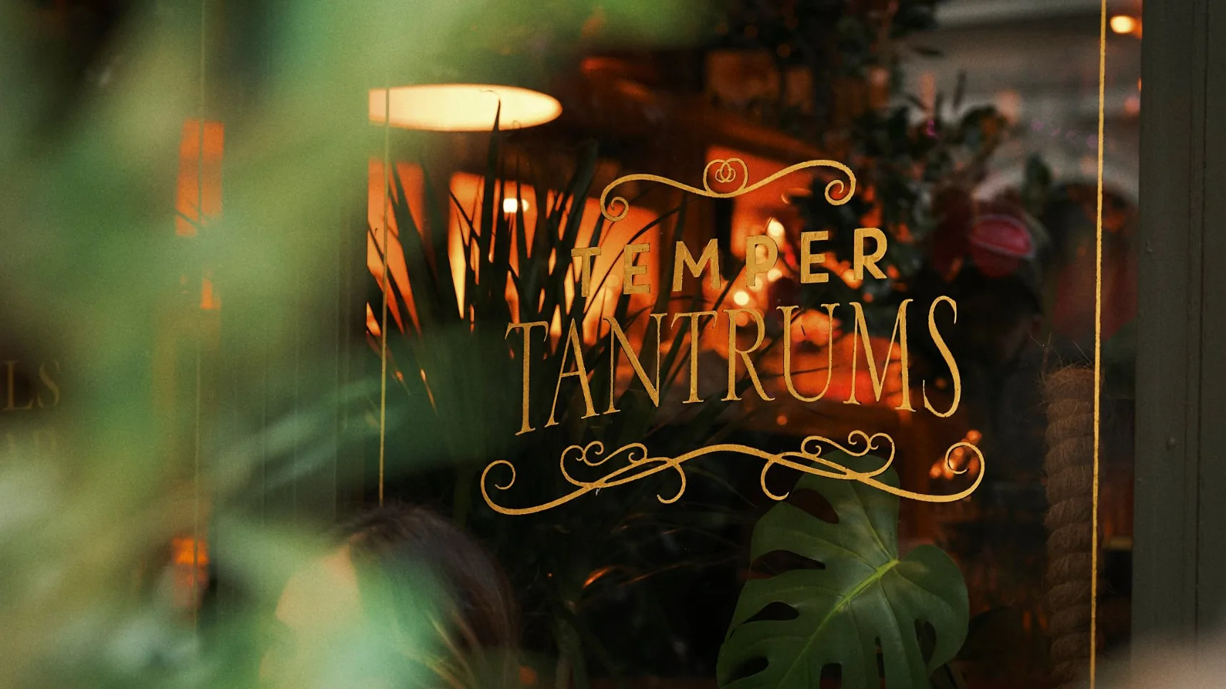 Gold Temper Tantrums lettering on the window, seen through the plants outside