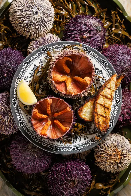 Sea urchins on an ornate plate